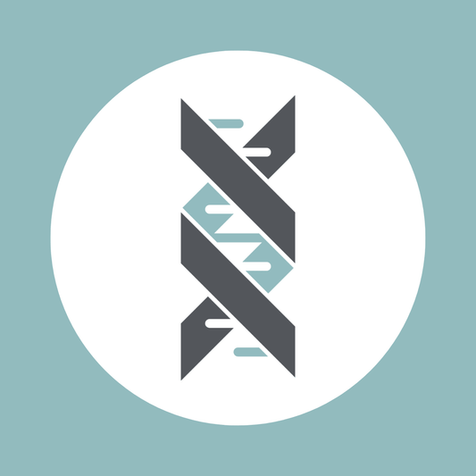 Evolve Shopify Store Setup
