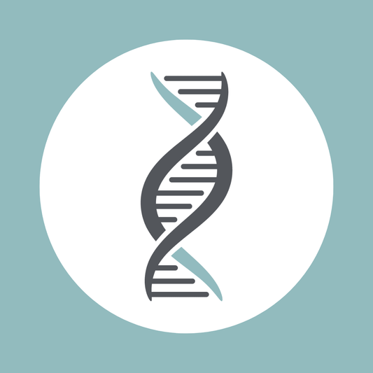 Flux Shopify Store Setup