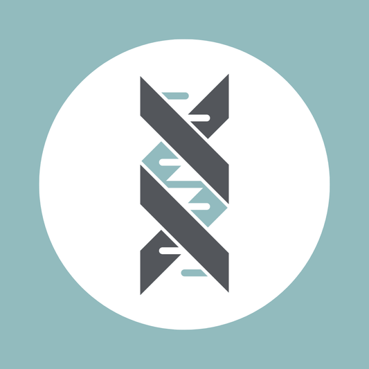 Evolve Shopify Store Setup