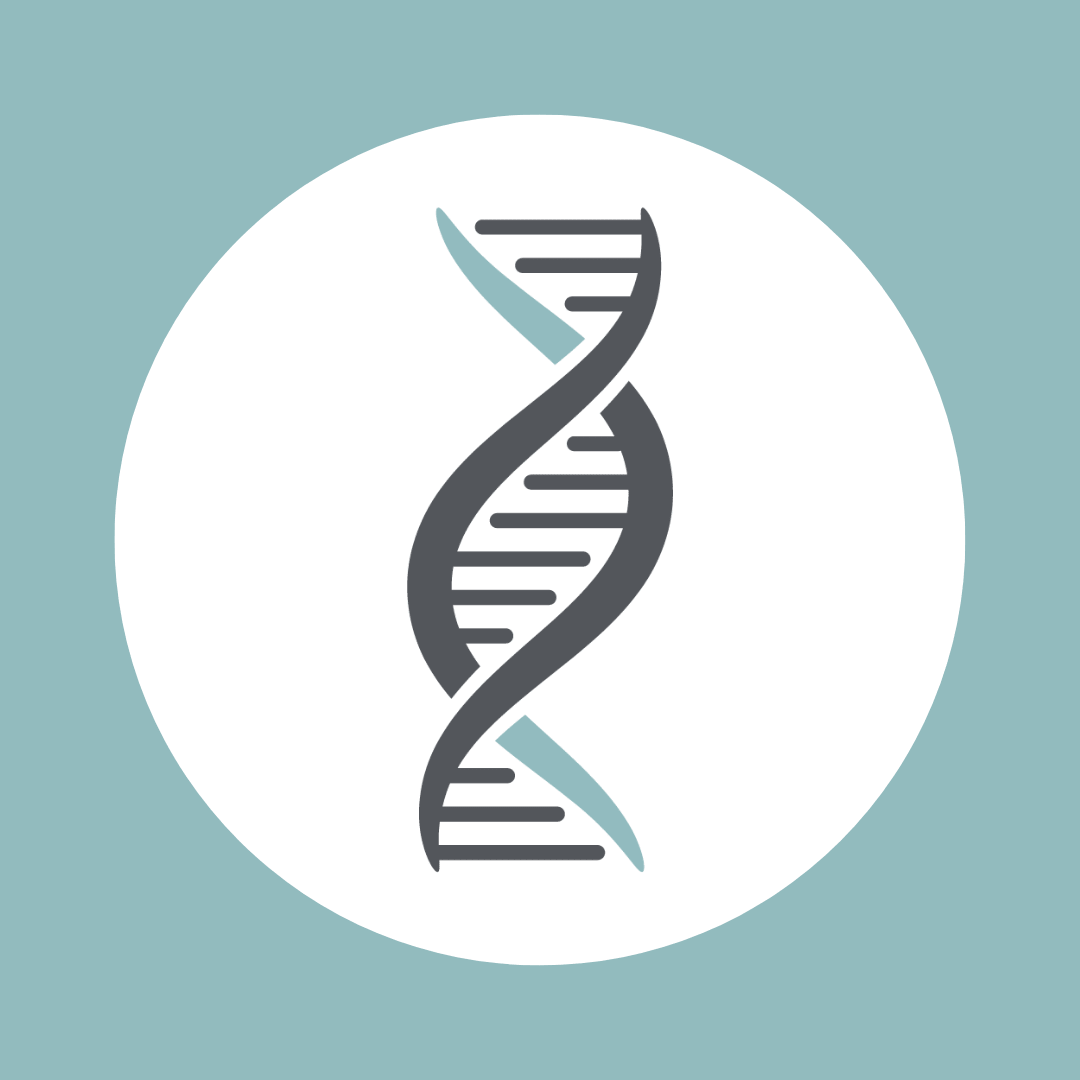 Flux Shopify Store Setup