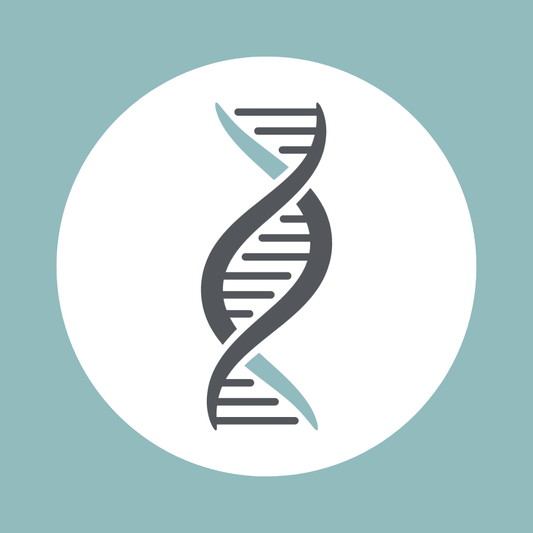 Flux Shopify Store Setup
